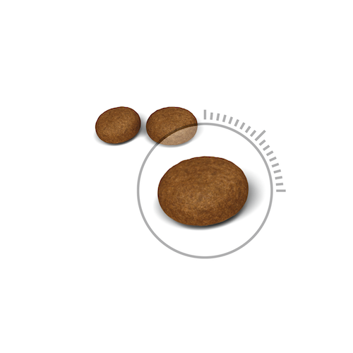 Royal Canin Hair and Skin Care 4 кг 2526040 фото
