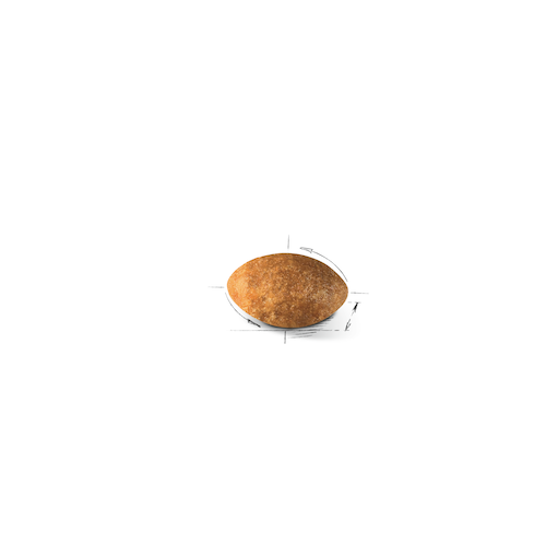 Royal Canin Persian Adult 2 кг 2552020 фото