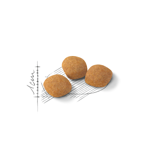 Royal Canin Protein Exigent 2 кг 2542020 фото