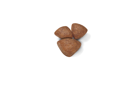 Royal Canin Starter Mother & Babydog - Mini 8 кг 2990080 фото