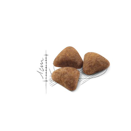 Royal Canin Indoor 4 кг 25290409 фото