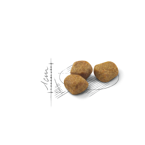 Royal Canin Indoor 7+ 3,5 кг 25480359 фото
