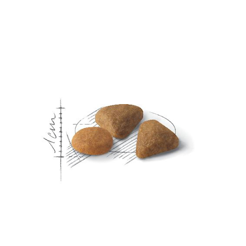 Royal Canin Savour Exigent 10 кг 2531100 фото
