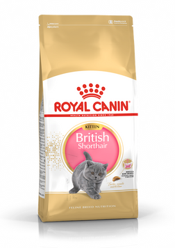 Royal Canin British Shorthair Kitten 10 кг 2566100 фото