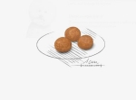 Royal Canin X-Small Adult 8+ 3 кг