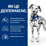 Hill's Prescription Diet u/d Сухий корм для собак догляд за сечовидільною системою, 4 кг