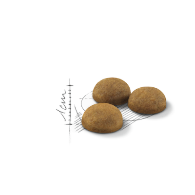 Royal Canin Indoor Long Hair 2 кг