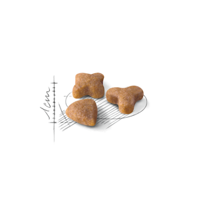 Royal Canin Sensible 33 2 кг